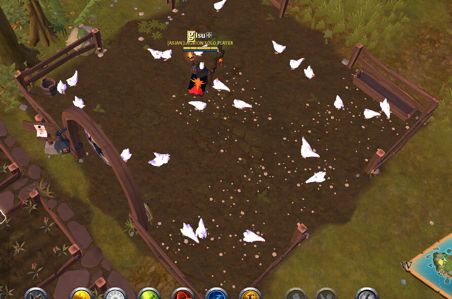 chicken tending